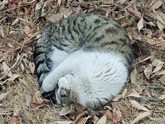 -山东大学(兴隆山校区)