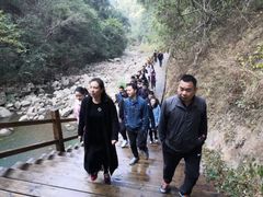 -九龙江国家森林公园