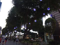 -新加坡文华东方酒店