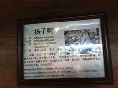 12.1-上海大自然野生昆虫馆