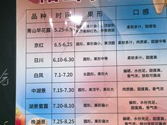 -老袁家蜜桃农场·阳山水蜜桃