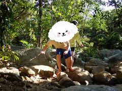 -呀诺达热带雨林