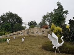 -琅岐红光湖公园