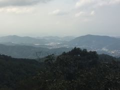 -广州市帽峰山景区
