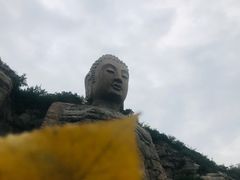 -蒙山大佛景区