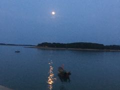 -琴岛之星摩天轮