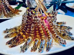 斑节虾-行家海鲜火锅酒家(静安寺店)