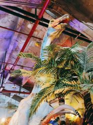 -恐龙探索乐园(磁器口店)