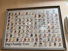 -楼上猫咖(罗湖店)