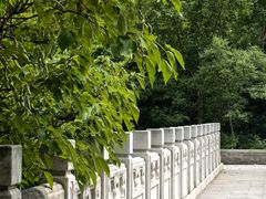 -白水寺森林公园