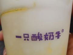 -一只酸奶牛(奎星楼店)