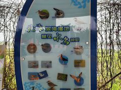 -北海金海湾红树林生态旅游区