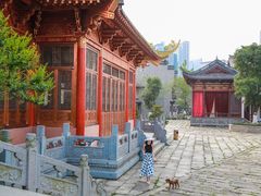 -龙潭水乡