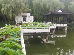 -浮庄