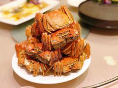 清蒸大闸蟹-王宝和酒家(黄浦店)