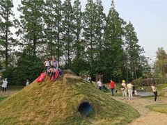 -前小桔亲子创意农场·草莓采摘·露营烧烤