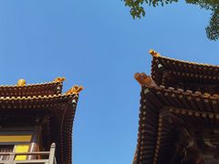 -亭林园-华藏寺