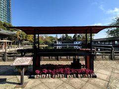 -无锡蠡湖国家湿地公园-蠡园
