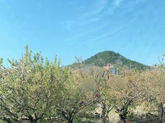 -崂山九水游览区