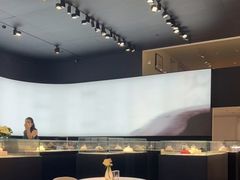 -BLACKSWAN黑天鹅(环球店)