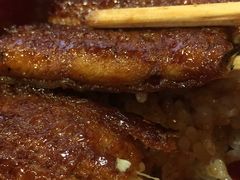 柴藤流鳗鱼饭-本家 柴藤