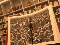 -二酉书店TOYOU BOOKS