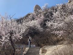 -北京凤凰岭