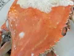-渔民船说·北塘海鲜·天津菜·海肠捞饭(北塘古镇店)