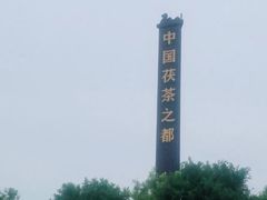 -茯茶镇