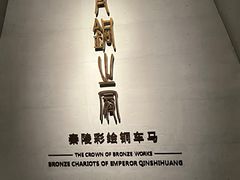 -秦始皇帝陵博物院(兵马俑)