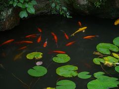-西泠印社