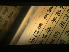 -寰映影城(大融城激光IMAX店)