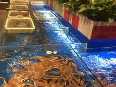 -翠姐姐农家大院(滨康路店)