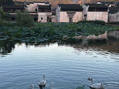 -呈坎景区