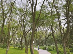 -玲珑塔公园