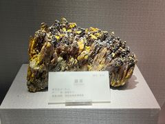-湖南省地质博物馆