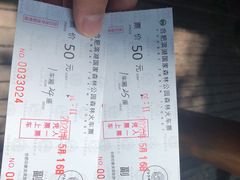 -合肥滨湖国家森林公园