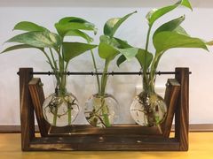 -薇薇安千层蛋糕(望海店)