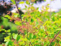-北京十三陵国家森林公园蟒山景区