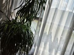 -新安人家·22年本地餐厅