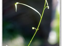 -上海长海医院·体检中心