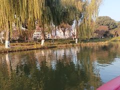 -圩墩遗址公园