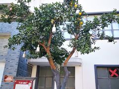 -黄鹤楼酒业武汉直销中心