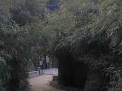 -崂山九水游览区