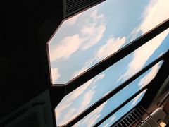 -野妹火锅(龙岗店)