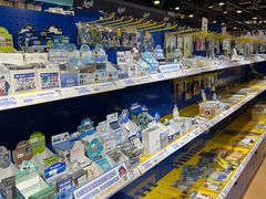 -Animate(工人体育场东路店)