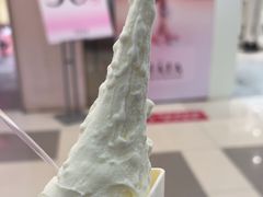 -野人先生Gelato(上海长宁龙之梦店)
