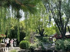 -趵突泉景区