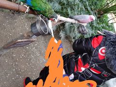 -南宫五洲植物乐园