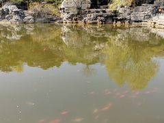 -北京西山国家森林公园